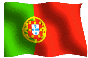vlag portugal v2